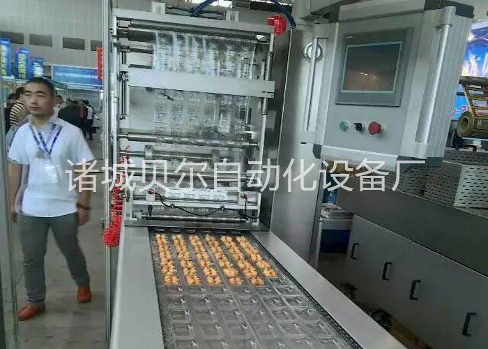肉砖真空贴体包装设备